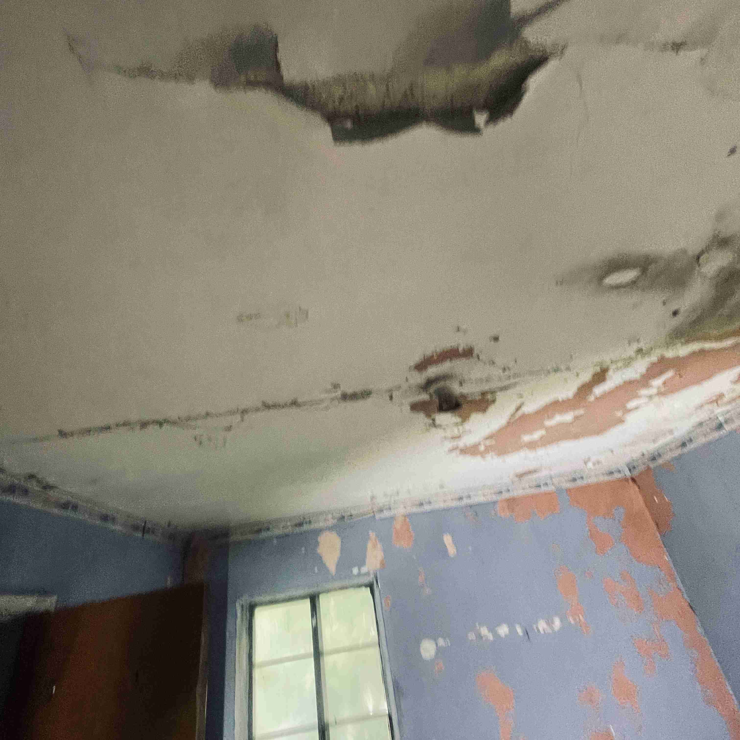 4277 TUXEDO (48).jpg